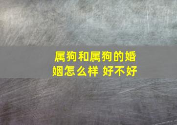 属狗和属狗的婚姻怎么样 好不好